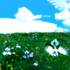 Butterfly Touch