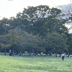レックウザ demo