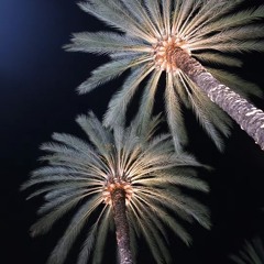 BEBECITA