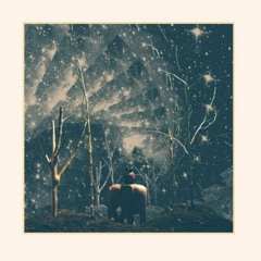 The Light
