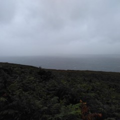 Rain (Dedicated To The Three Unknown Women, Sitting On A Bench, In Halberstadt)