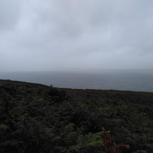 Rain (Dedicated To The Three Unknown Women, Sitting On A Bench, In Halberstadt)