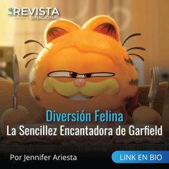 Diversión Felina: La Sencillez Encantadora de Garfield