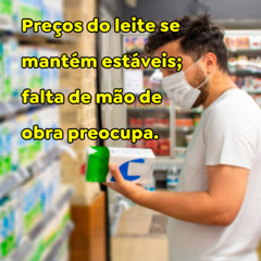 Preços do leite se mantém estáveis; falta de mão de obra preocupa