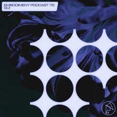 Embodiment 075 - GUI