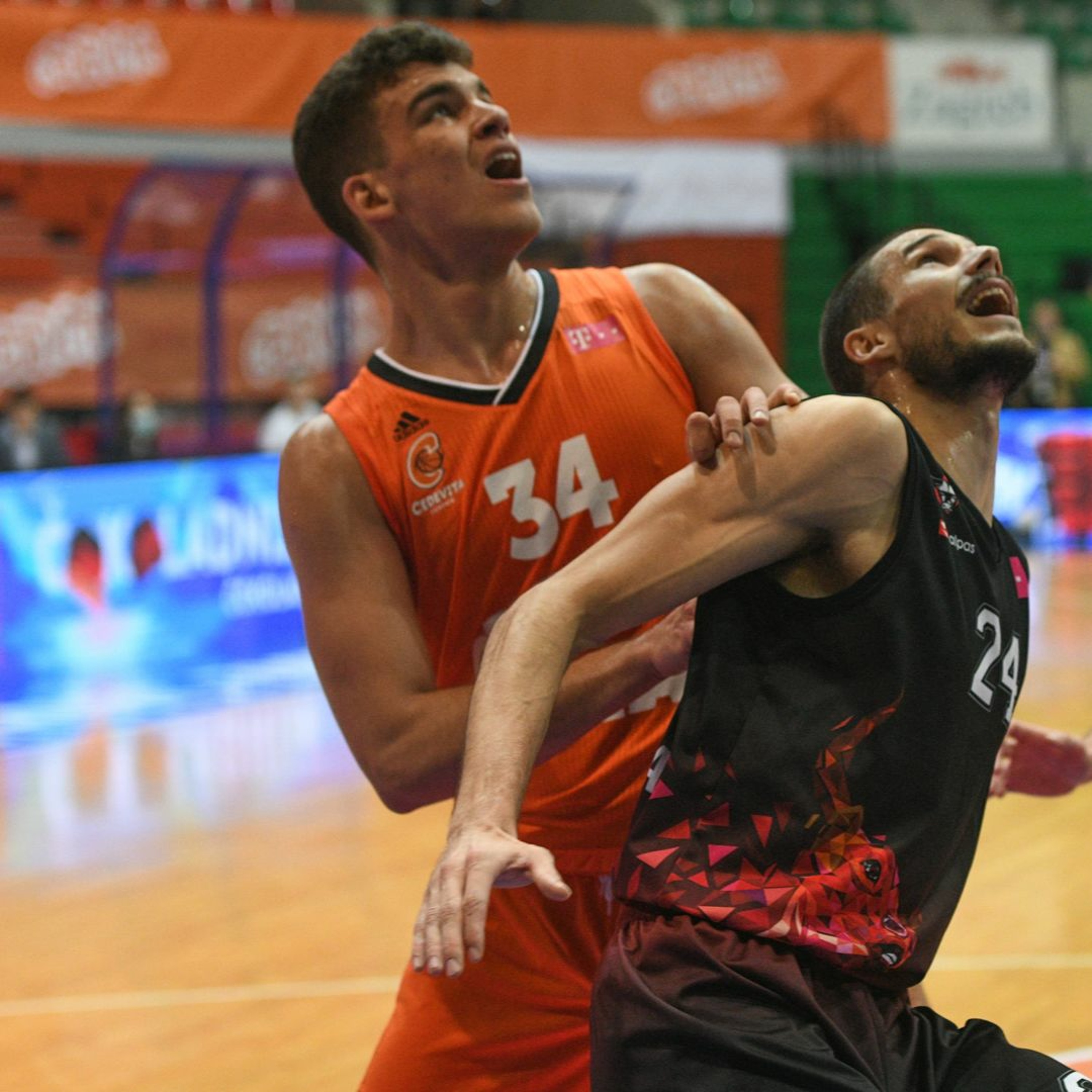 kkcedevita