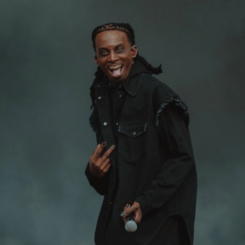 Stream Playboi Carti Wireless Festival Full Set by Ian Brescia Listen