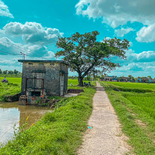 Nhạc Tết 2025