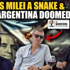 How Is Argentina Doing In 2025? (Investing In Latin America) ‪@TheWanderingInvestor‬