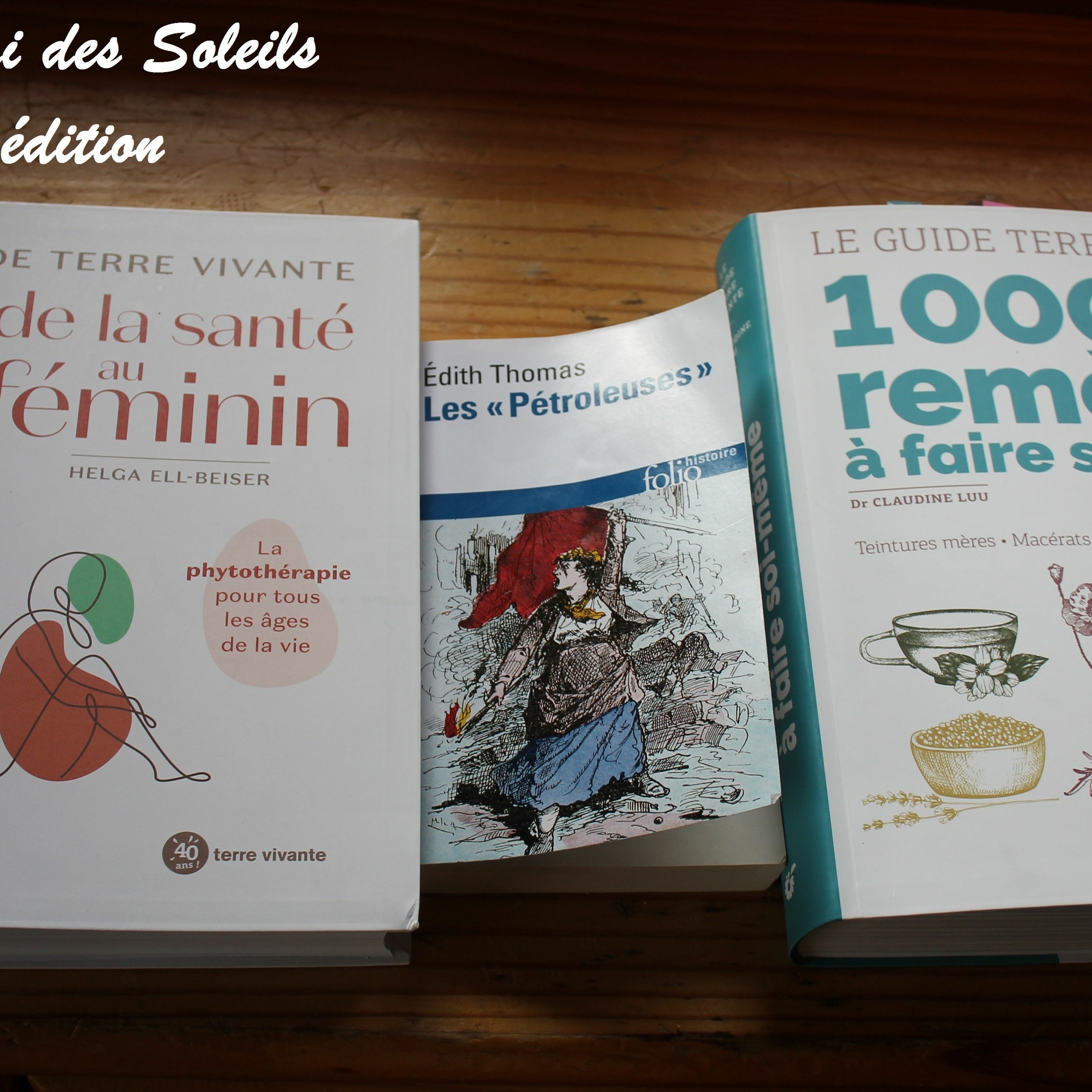 J'ecrirai Des Soleils 16