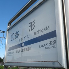 HACHIGATALICE ZONE
