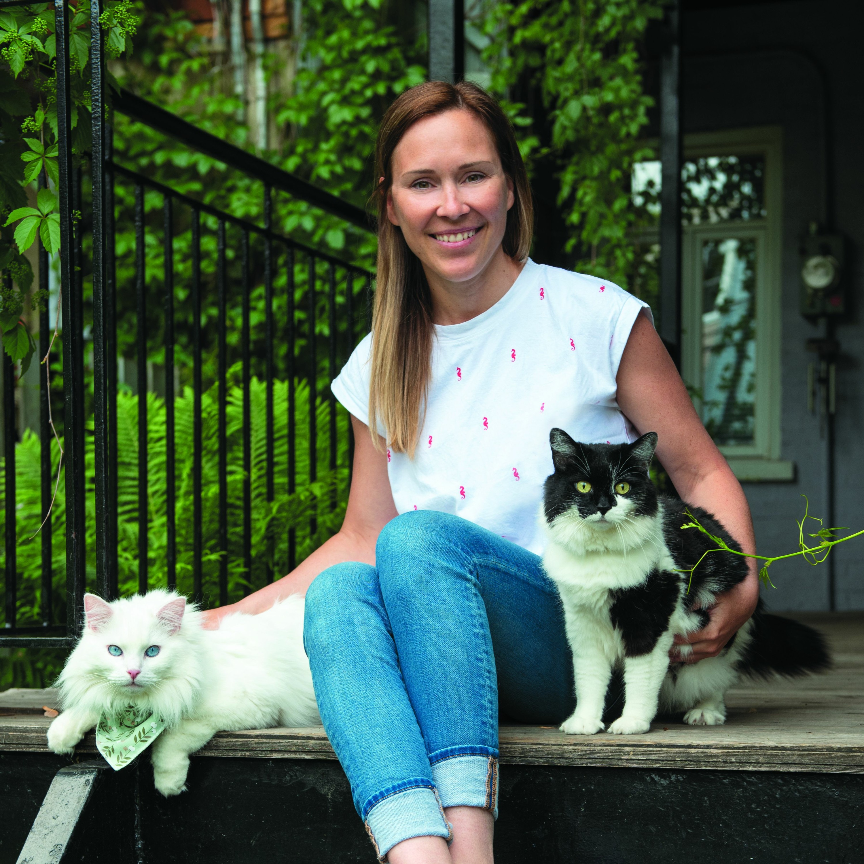 Un tour du monde pour photographier des centaines de chats episode artwork