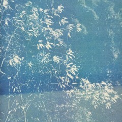 I saw the sun, blinded by this elegance how could i live anymore