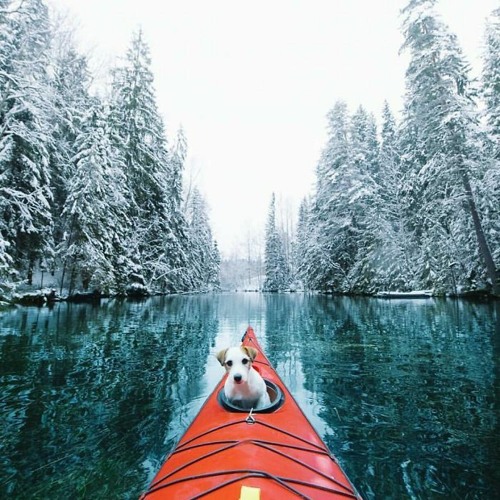summer mix 2023 - house n techno