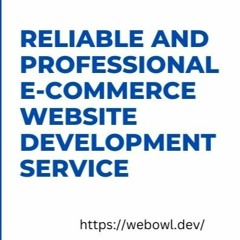 Reliable - And - Professional - E-commerce - Website - Development - Service