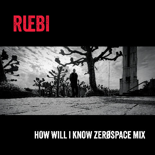 How Will I Know - ZERØSPACE Mix