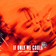 If Only We Could