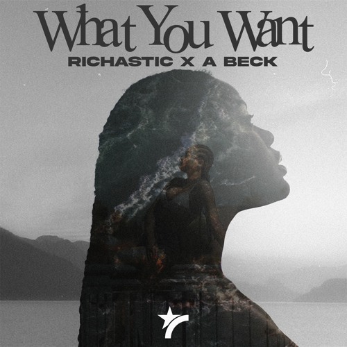Richastic x A Beck- What You Want (DJ Edit)