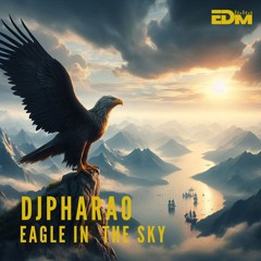 Eagle in the sky