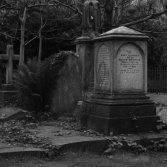 Baby Riot - Where are you? (Official Audio)