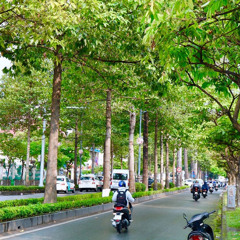 Tình Yêu Mang Theo - Cover Anh Tú