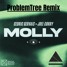 Cedric Gervais & Joel Corry - Molly (ProblemTree Remix)