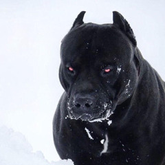 Armoniixd - Bleach [14WRLDWD]