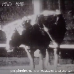 peripheries w. hadri (Cowboy IDM introduction mix) [09.04.2024]