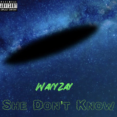 WavyZay - She Don’t Know