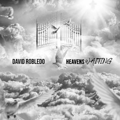 Heavens Waiting - David Robledo