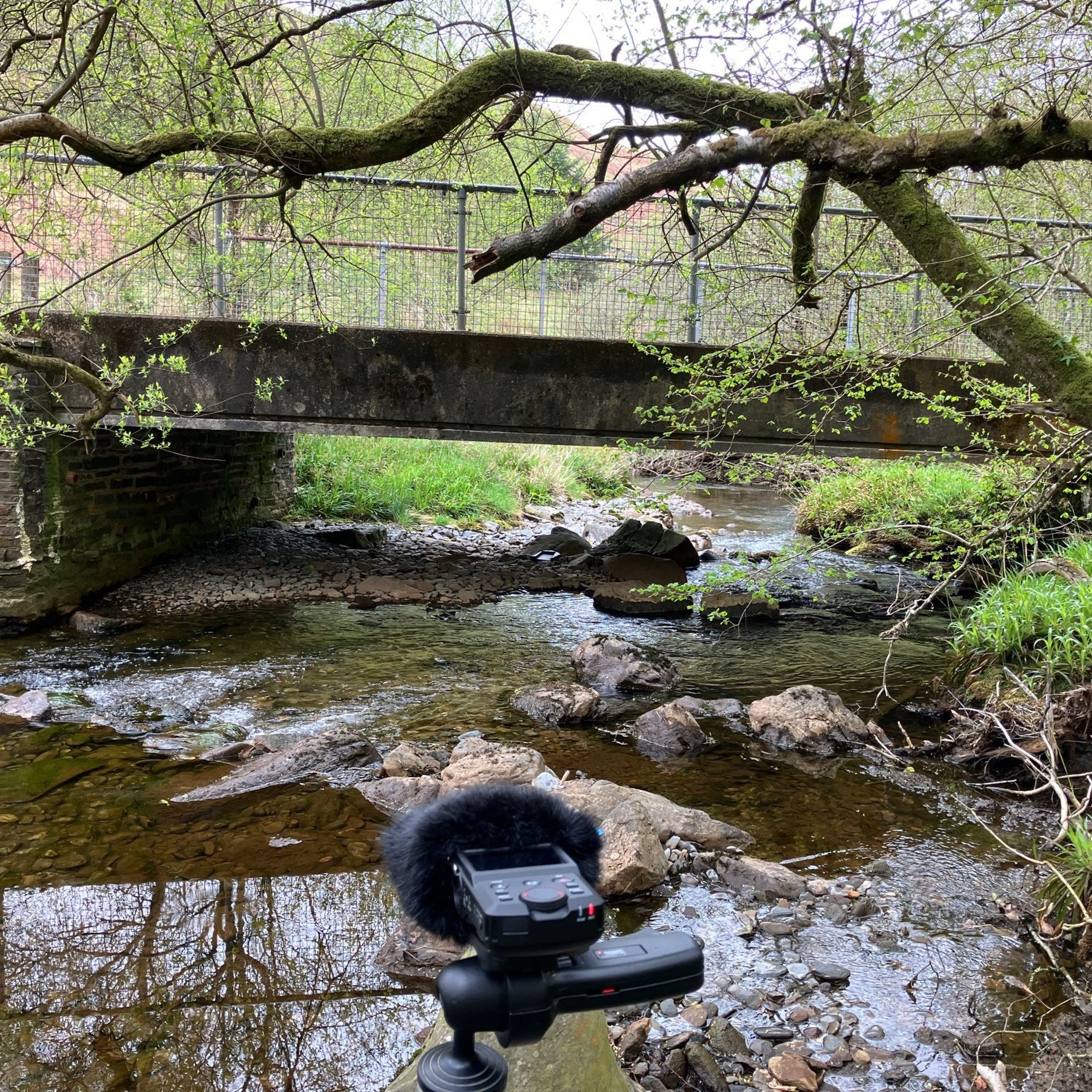 21April2025 Ystrad Einion Stream by Car Park. episode artwork