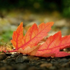 ''Wondering Why'' Dave East x J.Cole Type Beat (Prod by J TRAP) 79 BPM