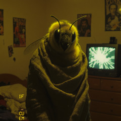 mycorpsedecayedinthisplace