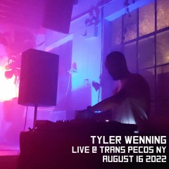 Tyler Wenning Live @ Trans Pecos NY