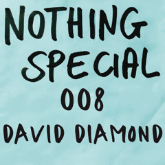 Nothing Special 008: David Diamond