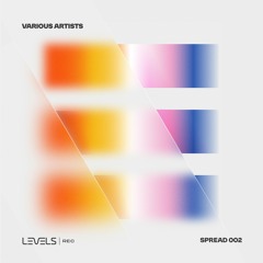 Knorst, MeMachine - Vapour Machine [Levels Records]