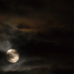 night sky motor ride
