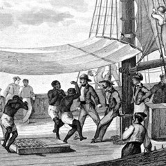 La ligne Holworth (Graeme Allwright)