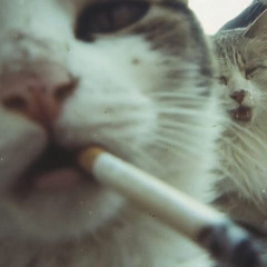 WAD=WET ASS DICK [FEATURED AND PRODUCED BY DEAF]