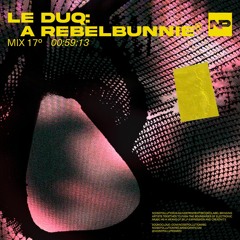 Noise Pollution 17º: Le Duq - A RebbelBunnie
