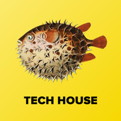 Tech House