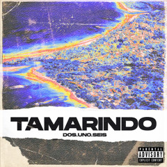 TAMARINDO ft. Fafa x Joti X AmberLyrics (prod.GAF)