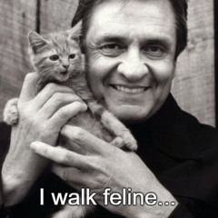 If I Were A Carpenter (Sans Johnny)