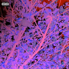 PVTiTiNTHEDiRT - Prod. Willie G