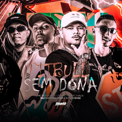 Pitbull sem Dona (feat. Dj Dudu Coupper)