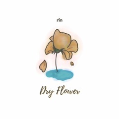 【リン】Dry Flower ドライフラワー