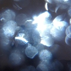 Thine Eyes Shine Like Shimmering Skies As Seen Mirrored From The Riverbed In Orpheum