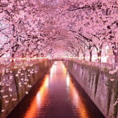 RADWIMPS - Hide And Seek かくれんぼ Kakurenbo