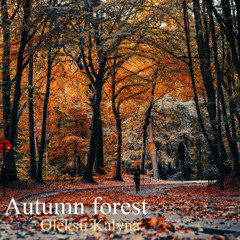 Autumn forest