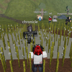 ;(
